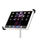 Grifiti Nootle Universal Large Tablet Mount For Standard to Large Tablets and iPads - Grifiti
